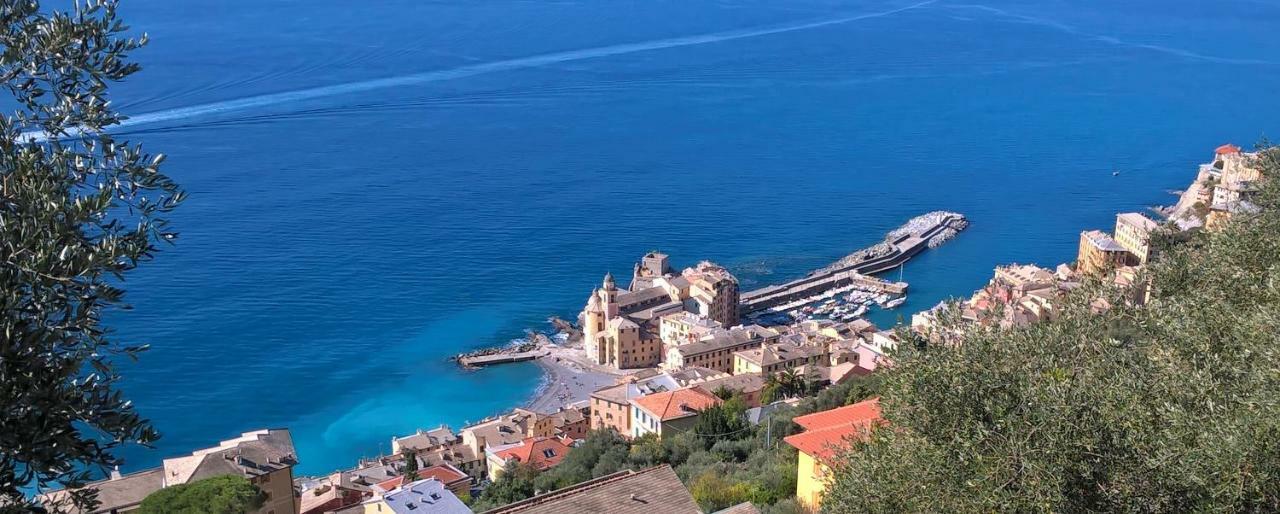 Camogli Golfo Paradiso La Casa Del Comandante Buitenkant foto